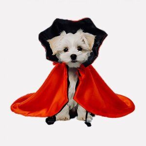 🧛Vampire Cloak Cape for Small Dog or Cat Red Black Halloween Costume Cosplay🧛